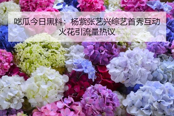吃瓜今日黑料：杨紫张艺兴综艺首秀互动火花引流量热议